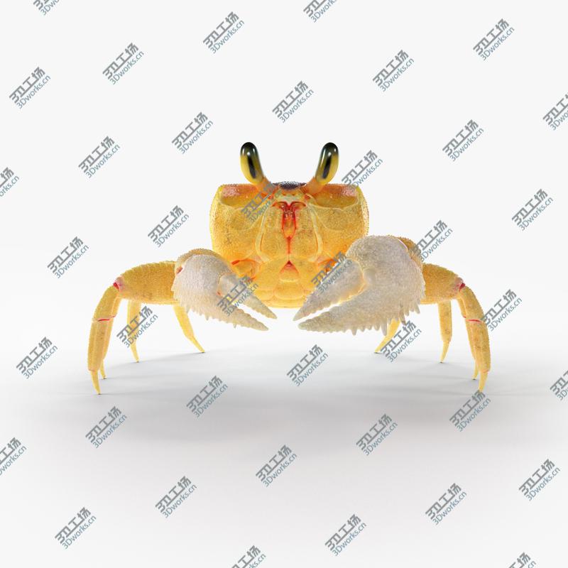 images/goods_img/20210319/Ghost Crab Rigged model/1.jpg